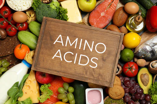 The Key to a Healthy Life - Amino Acids and Protein for Optimal Health